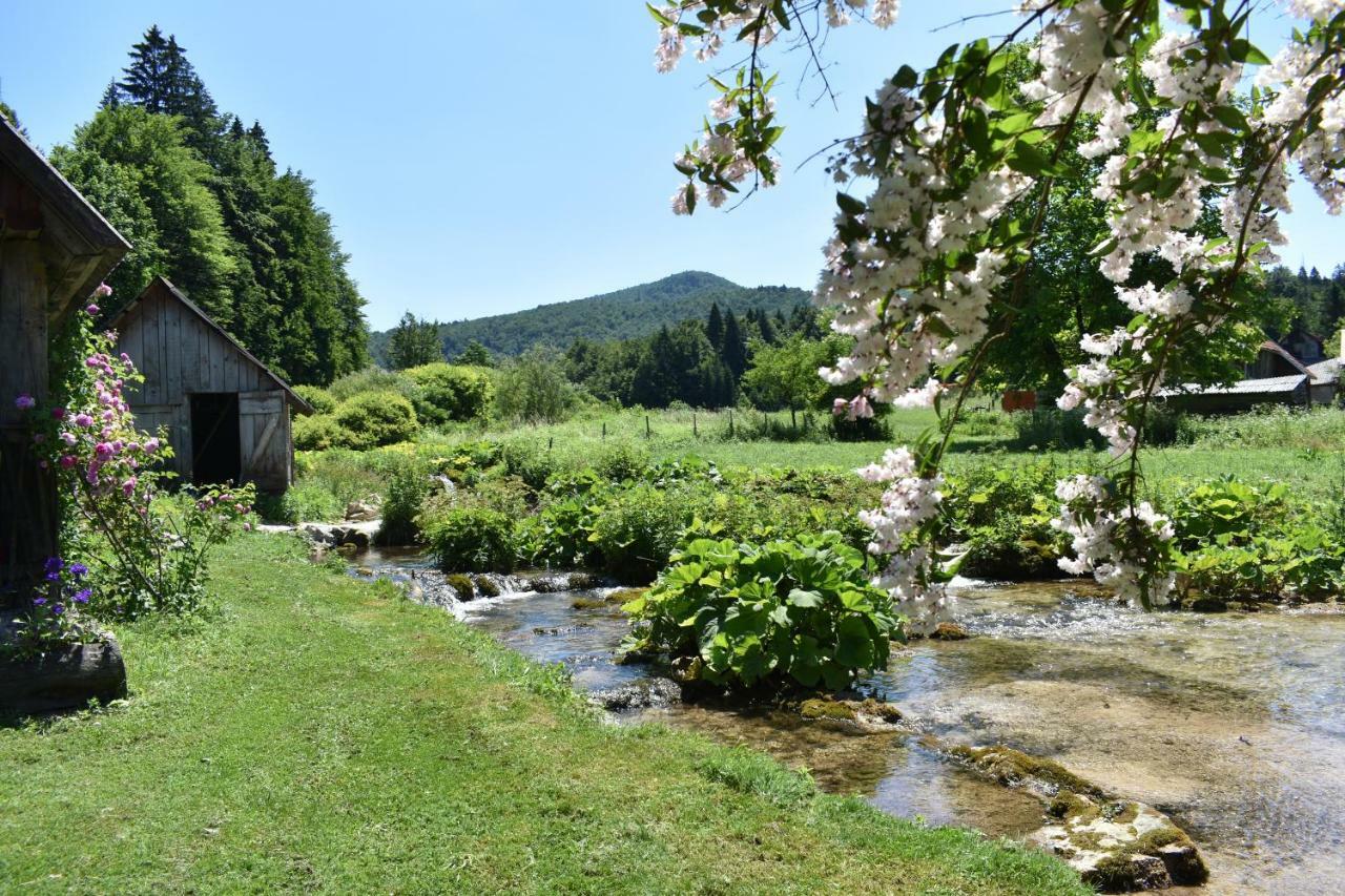 Plitvice Panta Rei Country house *