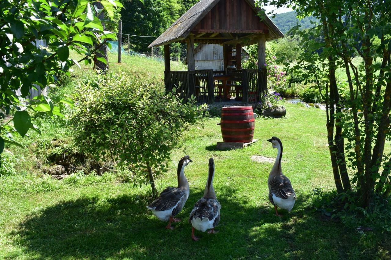 Country house Plitvice Panta Rei