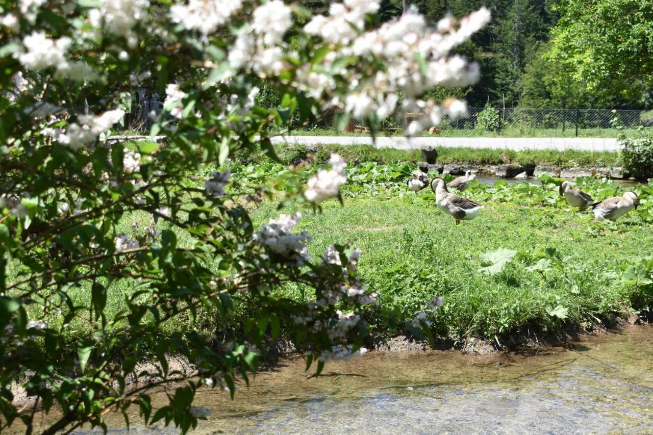 Plitvice Panta Rei