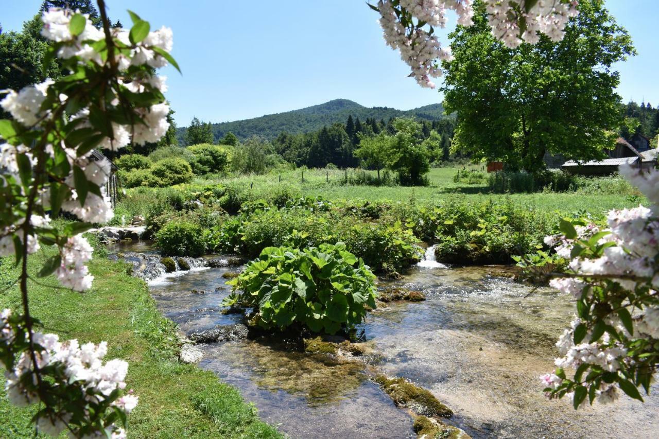 Country house Plitvice Panta Rei *
