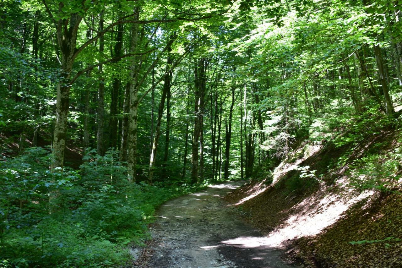 Plitvice Panta Rei Plitvicka Jezera